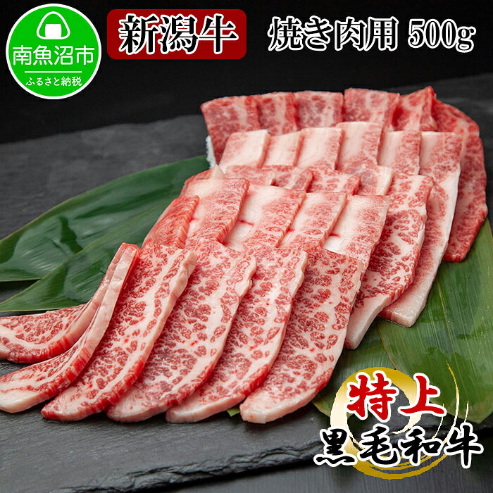 【ふるさと納税】新潟牛 南魚沼産 にいがた 黒毛和牛 焼き肉用 500g 新潟県 南魚沼市|新潟県南魚沼市