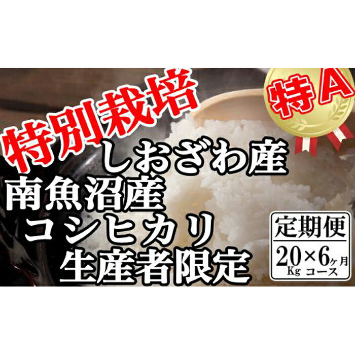 【ふるさと納税】【令和7年産】米 定期便 コシヒカリ 南魚沼しおざわ産 120kg ( 20kg × 6ヶ月 ) 特別栽培 | お米 こめ 白米 コシヒカリ 食品 人気 おすすめ 送料無料 魚沼 南魚沼 南魚沼市 新潟県産 新潟県