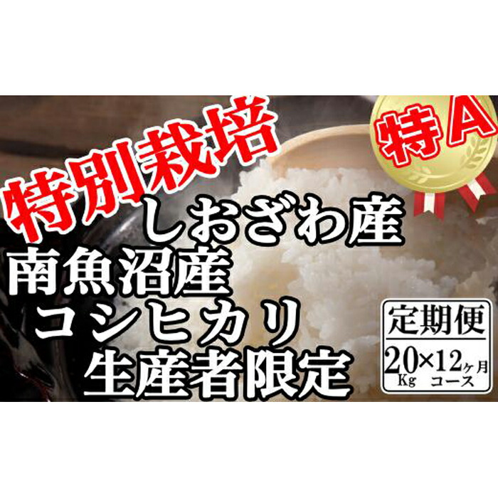 【ふるさと納税】【令和7年産】米 定期便 コシヒカリ 南魚沼しおざわ産 240kg ( 20kg × 12ヶ月 ) 特別栽培 | お米 こめ 白米 コシヒカリ 食品 人気 おすすめ 送料無料 魚沼 南魚沼 南魚沼市 新潟県産 新潟県