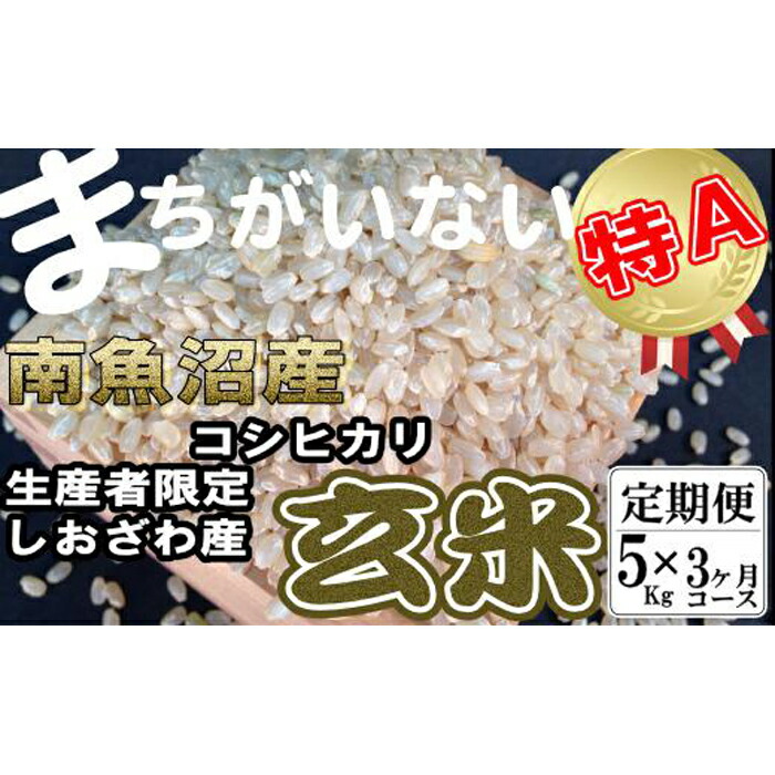 【ふるさと納税】【令和7年産】米 定期便 玄米 コシヒカリ 南魚沼しおざわ産 15kg ( 5kg × 3ヶ月 ) | お米 こめ 食品 コシヒカリ 人気 おすすめ 送料無料 魚沼 南魚沼 南魚沼市 新潟県 玄米 産直