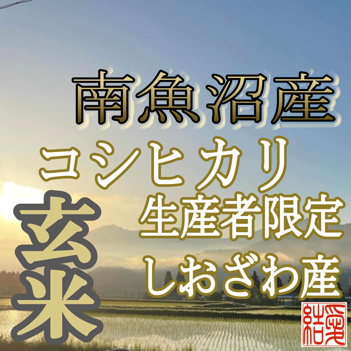 ふるさと納税 ○玄米○ 生産者限定 南魚沼しおざわ産コシヒカリ 新潟県