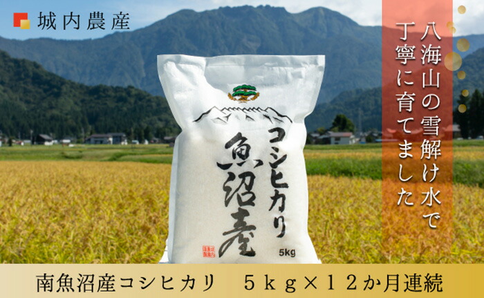 新米南魚沼産コシヒカリ 白米５ｋｇ ５割減農薬栽培米 2022年のクリスマスの特別な衣装