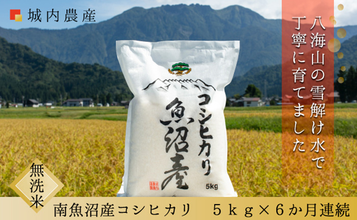 【特別価格】令和4年産 城内農産 南魚沼産コシヒカリ 無洗米4㎏（2kg×2袋）