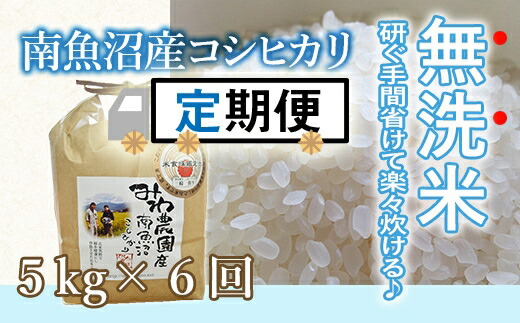 訳ありセール格安 令和2年度米 定期便 無洗米5kg 6回 農家直送 南魚沼産コシヒカリ 魚沼産 コシヒカリ 魚沼 新潟 こしひかり 新潟県産 白米 精米 米 お米 産直 産地直送 農家直送 お楽しみ 超人気の Www Mutupelayanankesehatan Net