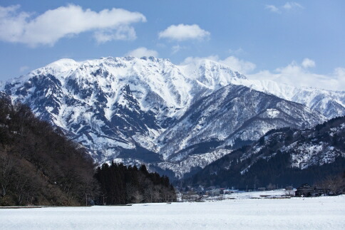 ふるさと納税 新潟県 南魚沼市 特産品 おすすめ ふるさと納税 八海山本格米焼酎 オーク樽貯蔵 風媒花 7ml 3本