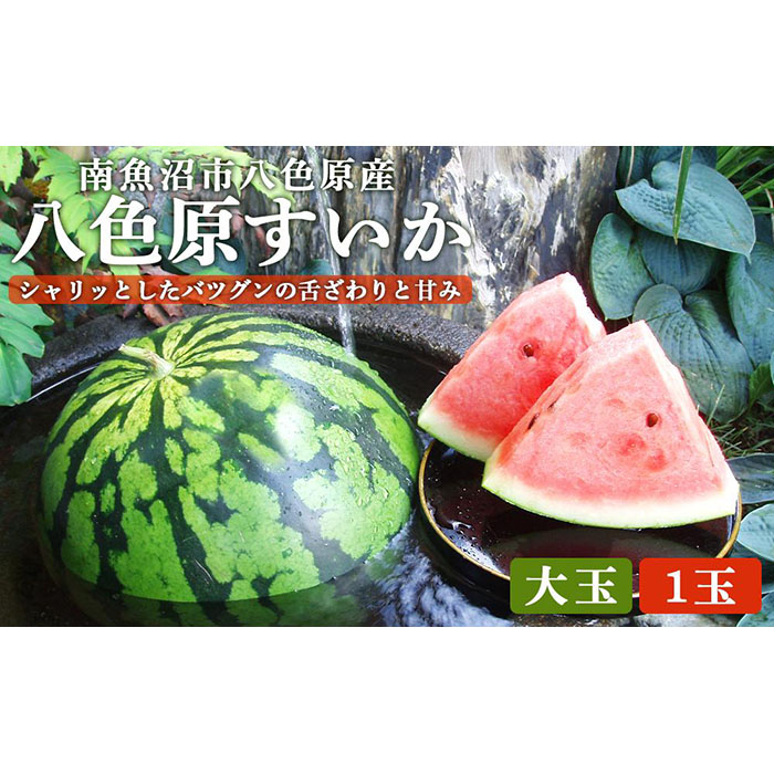 【ふるさと納税】先行予約【高級】八色原すいか大玉１玉 | 新潟県 おすすめ