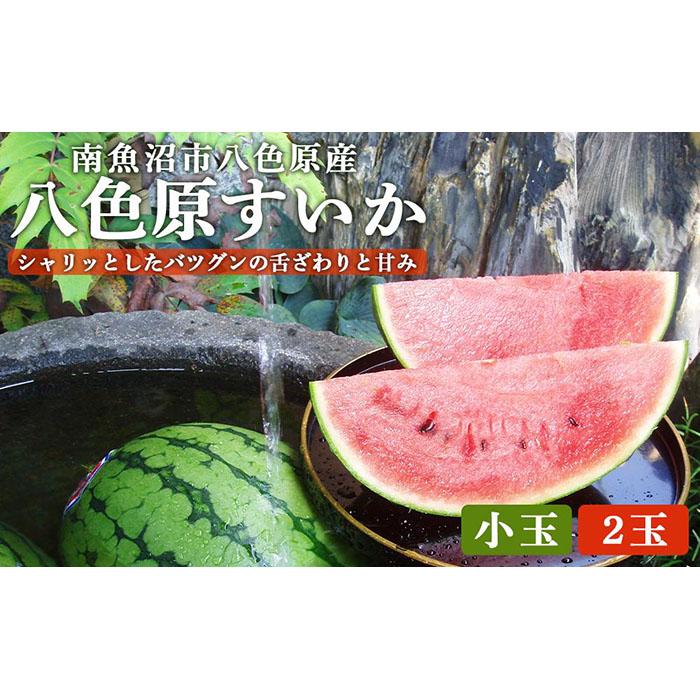 【ふるさと納税】【高級】八色原すいか小玉２玉 | 果物 くだもの フルーツ 新潟 南魚沼 期間限定 人気 おすすめ 10000円 1万円 7月中旬 より順次発送 お取り寄せ グルメ スイカ 新潟県 南魚沼市