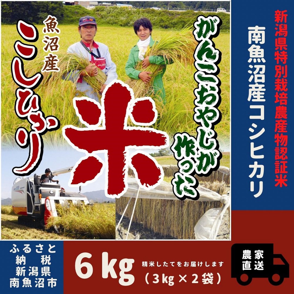 【ふるさと納税】【令和７年産】特別栽培米　がんこおやじが作った南魚沼産コシヒカリ 白米６kg（３kg&times;２袋）【銘柄米 ブランド米 精米 こしひかり コシヒカリ 魚沼産 新潟米 産地直送 お米 米 こめ コメ ご飯 御飯 ごはん】｜新潟県南魚沼市 16,330円