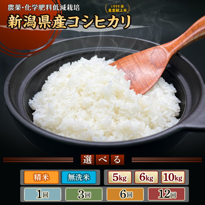 【ふるさと納税】令和8年産 新米予約 米 無洗米 定期便 5kg 6kg 10kg 小分け 2kg×3袋 5kg×2袋 新潟 コシヒカリ 精米 白米 お米 選べる 1回 3回 6回 12回 3ヶ月 6ヶ月 12ヶ月 3か月 6か月 12か月 新潟こしひかり 新潟県胎内市産コシヒカリ(中条農産)|新潟県胎内市