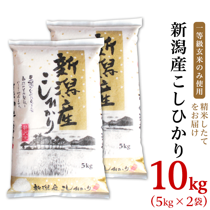 楽天市場 ふるさと納税 米 10kg 令和3年 白米 31 07新潟県産コシヒカリ10kg 5kg 2袋 新潟県胎内市