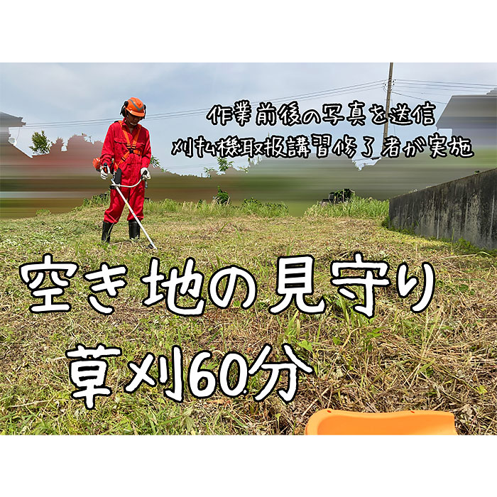【ふるさと納税】<胎内市内利用限定>草刈り作業代行 草刈り 空き地 空地 お手入れ 見守り報告1回(草刈り60分)|新潟県胎内市