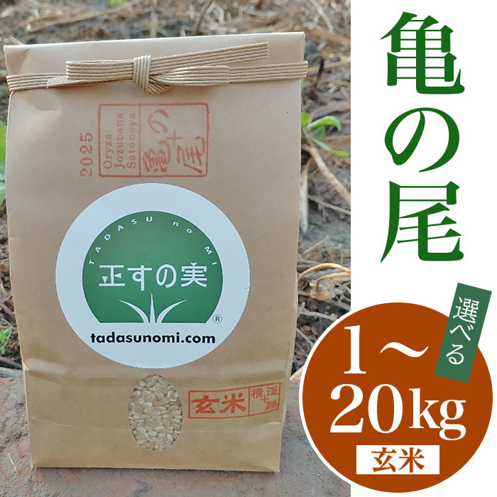 【ふるさと納税】米 玄米 亀の尾 かめのお 選べる 1kg 5kg 10kg 20kg 自然なお米 新潟 お米 健康 腸活 美容 Oryza Jozucana Satonaya 新潟県胎内市城塚産 未検査米【正すの実】