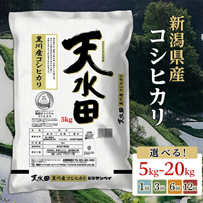 【ふるさと納税】米 定期便 5kg 10kg 15kg 20kg 新潟 コシヒカリ 精米 白米 お米 選べる 1回 3回 6回 12回 3ヶ月 6ヶ月 12ヶ月 3か月 6か月 12か月 新潟こしひかり 新潟県黒川産コシヒカリ5kg【天水田】(新潟ケンベイ)|新潟県胎内市