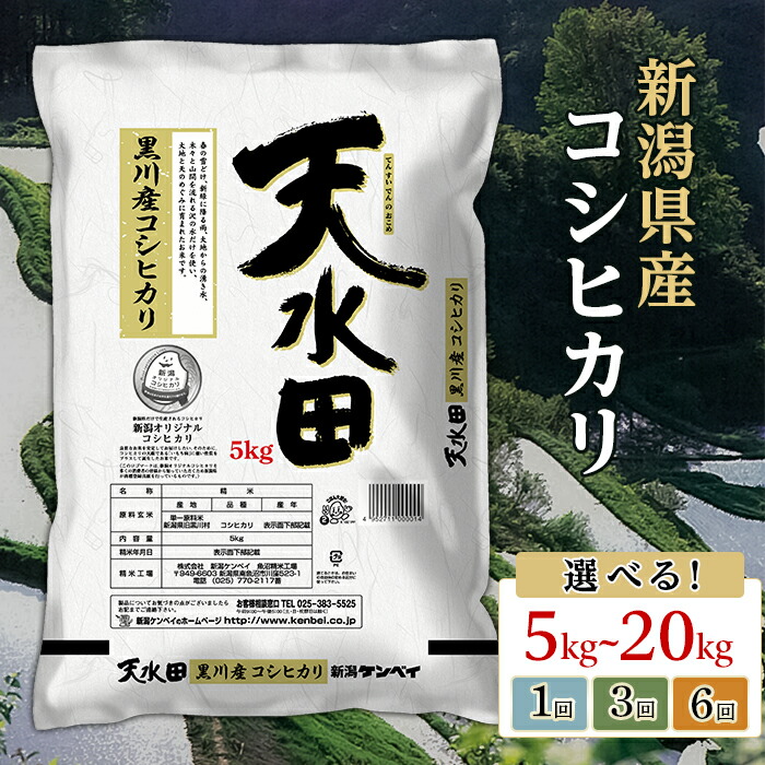 楽天市場】【ふるさと納税】米 無洗米 定期便 5kg 10kg 新潟 コシヒカリ 精米 白米 お米 選べる 1回 3回 6回 12回 3ヶ月 6ヶ月  12ヶ月 新潟こしひかり 新潟県産コシヒカリ（サンヴィリッジ新潟） : 新潟県胎内市