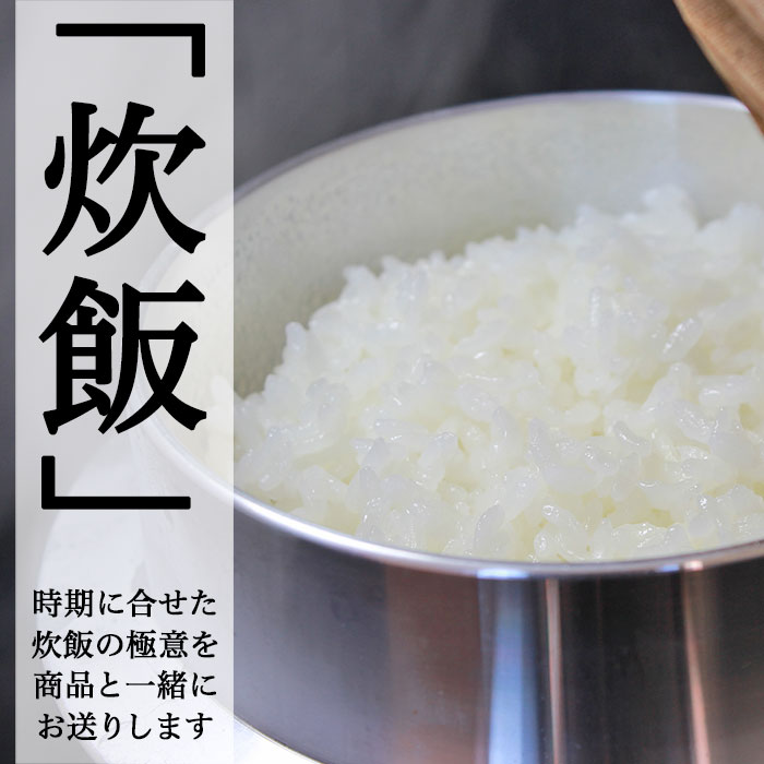 【ふるさと納税】米 無洗米 新米 定期便 新潟県産コシヒカリ 選べる 令和7年産 令和8年産 内容量 2kg 5kg 6kg 8kg 10kg 20kg 発送回数 1回 3回 6回 12回 3ヶ月 6ヶ月 12ヶ月 3か月 6か月 12か月 農家応援 小分け 種類 新潟こしひかり 精米 白米 お米 サンヴィリッジ新潟