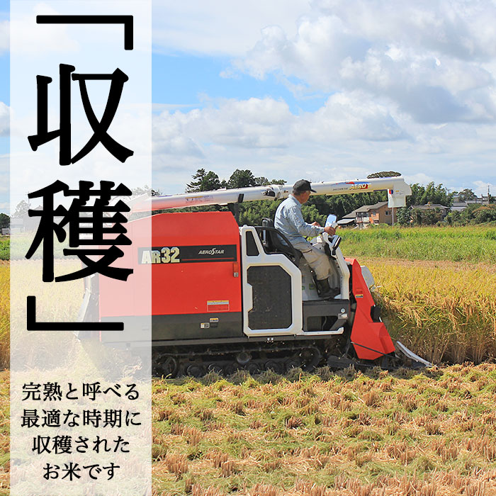 【ふるさと納税】米 無洗米 新米 定期便 新潟県産コシヒカリ 選べる 令和7年産 令和8年産 内容量 2kg 5kg 6kg 8kg 10kg 20kg 発送回数 1回 3回 6回 12回 3ヶ月 6ヶ月 12ヶ月 3か月 6か月 12か月 農家応援 小分け 種類 新潟こしひかり 精米 白米 お米 サンヴィリッジ新潟
