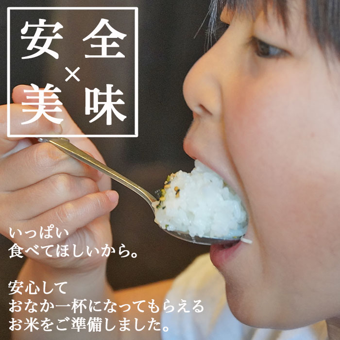 【ふるさと納税】米 無洗米 新米 定期便 新潟県産コシヒカリ 選べる 令和7年産 令和8年産 内容量 2kg 5kg 6kg 8kg 10kg 20kg 発送回数 1回 3回 6回 12回 3ヶ月 6ヶ月 12ヶ月 3か月 6か月 12か月 農家応援 小分け 種類 新潟こしひかり 精米 白米 お米 サンヴィリッジ新潟