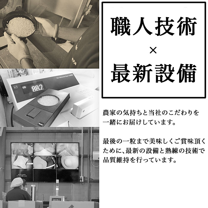 【ふるさと納税】米 無洗米 新米 定期便 新潟県産コシヒカリ 選べる 令和7年産 令和8年産 内容量 2kg 5kg 6kg 8kg 10kg 20kg 発送回数 1回 3回 6回 12回 3ヶ月 6ヶ月 12ヶ月 3か月 6か月 12か月 農家応援 小分け 種類 新潟こしひかり 精米 白米 お米 サンヴィリッジ新潟