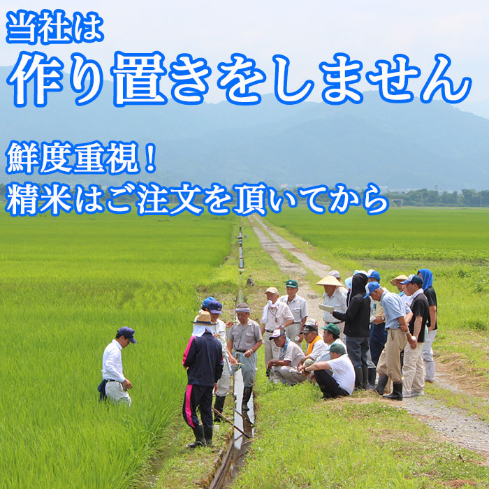 【ふるさと納税】米 無洗米 新米 定期便 新潟県産コシヒカリ 選べる 令和7年産 令和8年産 内容量 2kg 5kg 6kg 8kg 10kg 20kg 発送回数 1回 3回 6回 12回 3ヶ月 6ヶ月 12ヶ月 3か月 6か月 12か月 農家応援 小分け 種類 新潟こしひかり 精米 白米 お米 サンヴィリッジ新潟