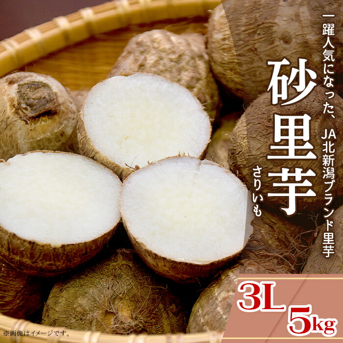 10000054_01_w700.jpg 10000054_01_w700.jpg