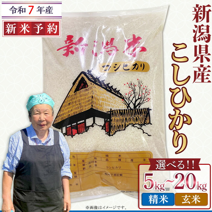 【ふるさと納税】新米予約 令和7年産 米 新潟県産 コシヒカリ 特別栽培 選べる 精米 玄米 5kg 10kg 20kg 白米 お米 新潟こしひかり【近藤農園】