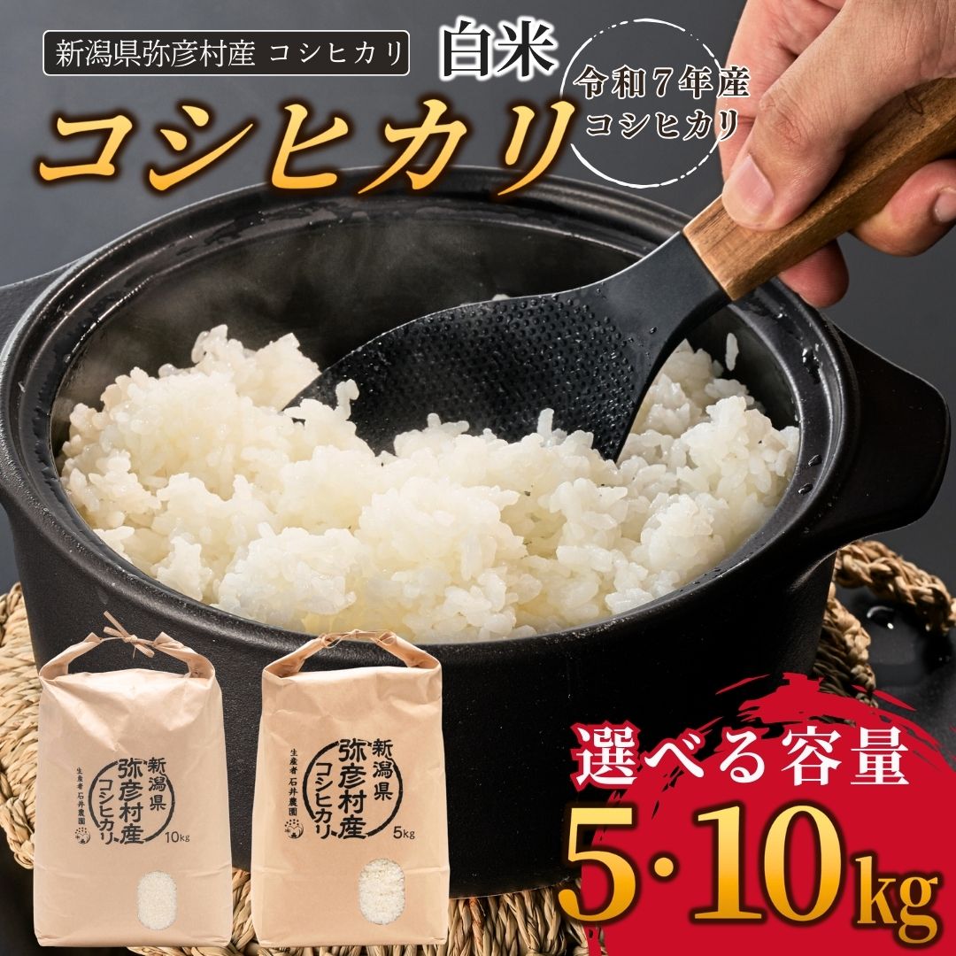 【ふるさと納税】米 コシヒカリ 令和7年産 新潟 選べる容量 5kg 10kg | こしひかり お米 おこめ 白米 精米 ブランド米 送料無料 ギフト 贈答 贈り物 新潟県 弥彦村 石井農園