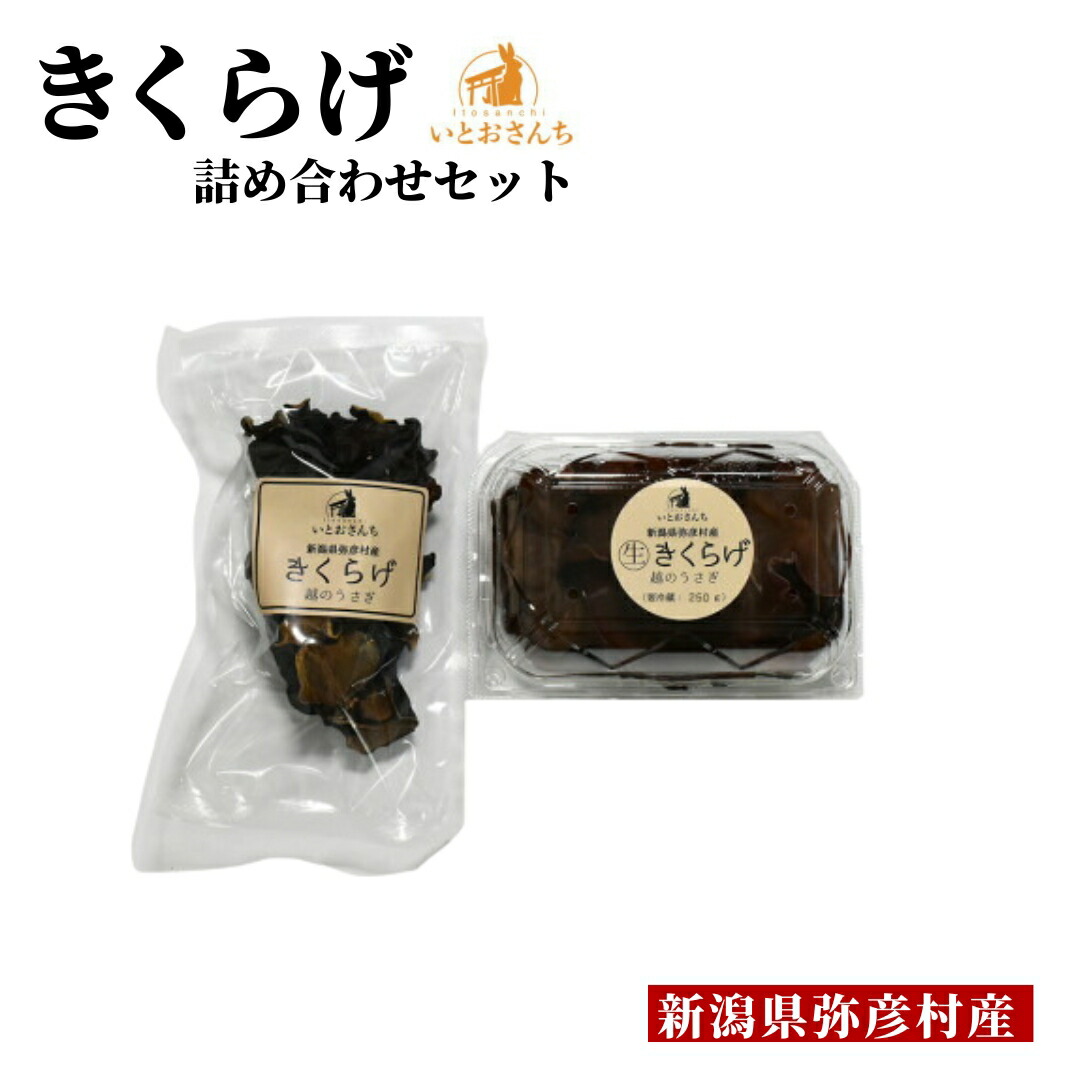【ふるさと納税】新潟県弥彦村産 越のうさぎ 生きくらげ250g、乾燥きくらげ25g 詰め合わせセット | 詰め合わせセット＜栽培期間中農薬不使用＞手のひらサイズ 大きい 肉厚食感 プリプリ きくらげ 木耳 キクラゲ きのこ キノコ 歯ごたえ 新潟県 弥彦村