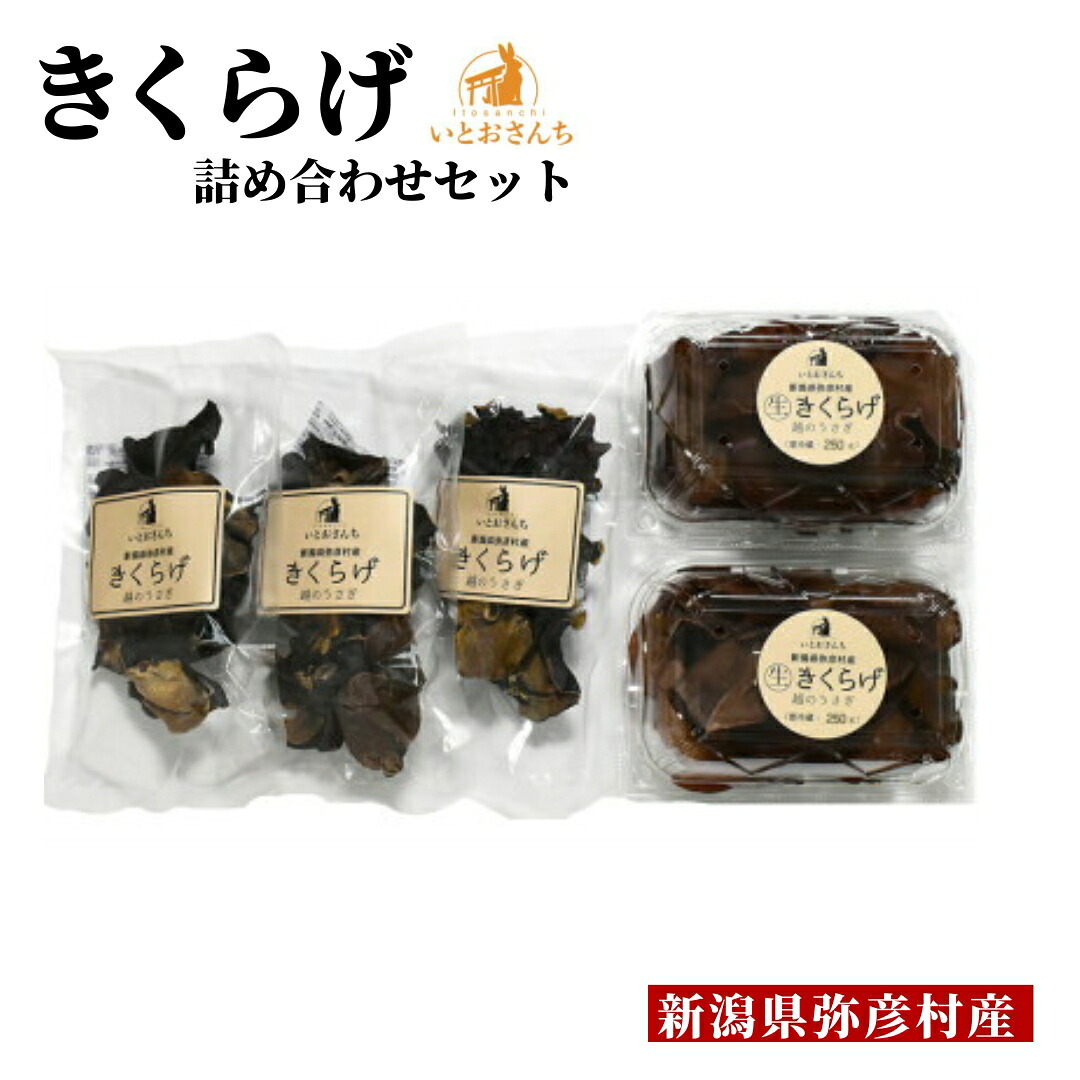 【ふるさと納税】新潟県弥彦村産 越のうさぎ 生きくらげ250g×2、乾燥きくらげ25g×3 詰め合せセット＜栽培期間中農薬不使用＞ | 手のひらサイズ 大きい 肉厚食感 プリプリ きくらげ 木耳 キクラゲ きのこ キノコ 歯ごたえ 新潟県 弥彦村