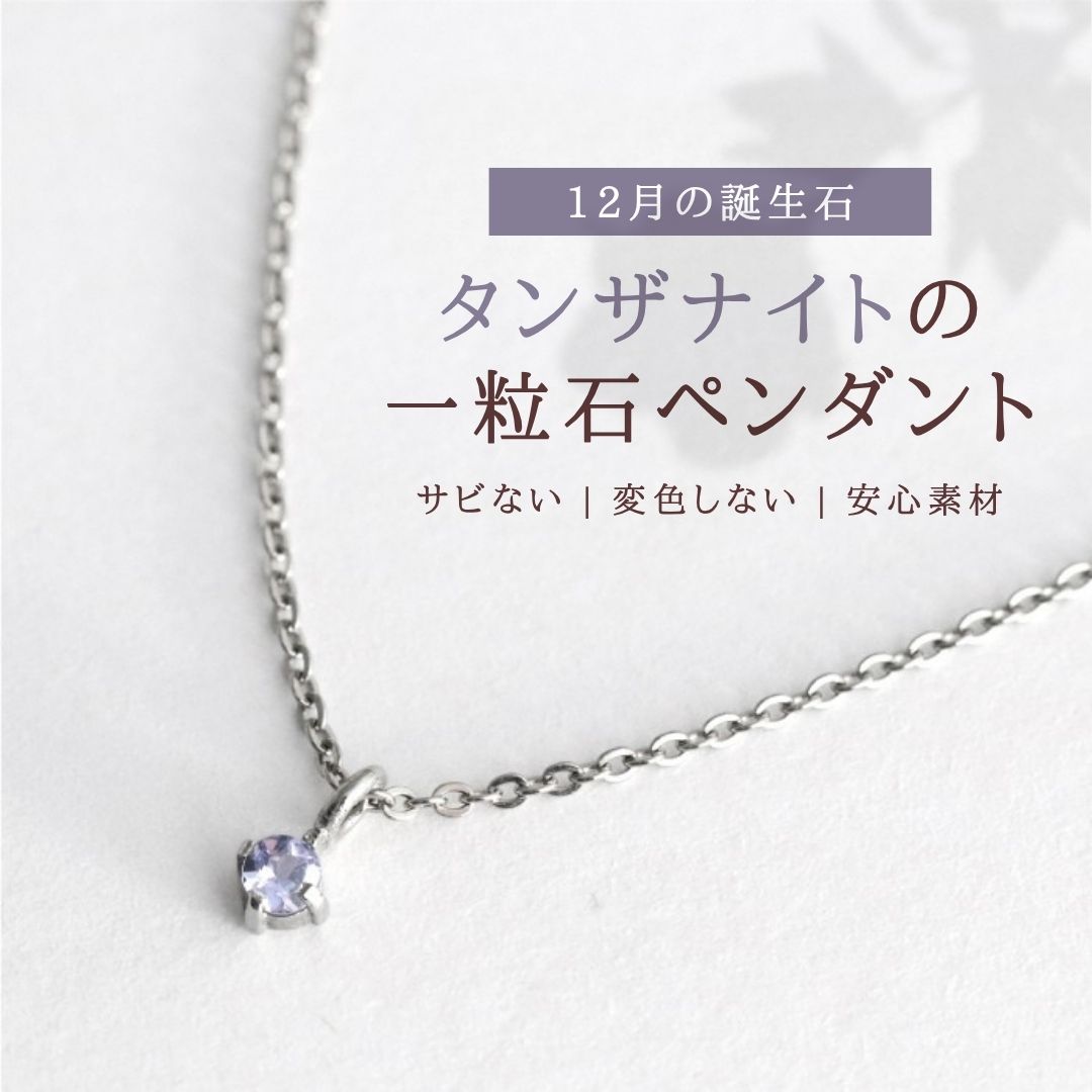 【ふるさと納税】純チタン タンザナイト 一粒石 ペンダント 誕生石 ネックレス 変色しにくい ギフト 新潟県 弥彦村