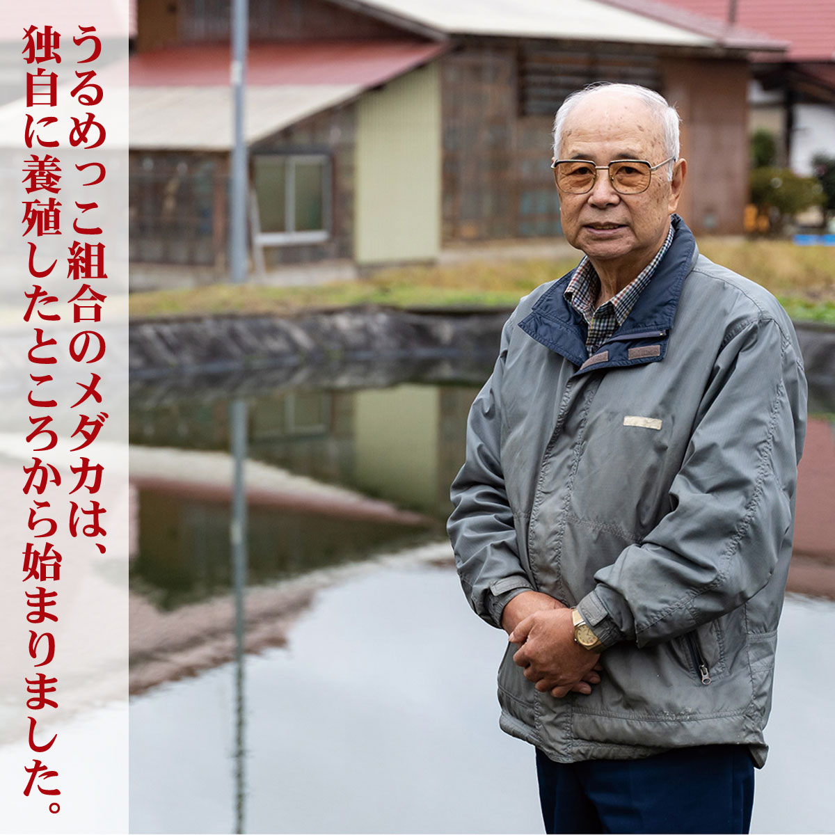 ふるさと納税 新潟 阿賀 幻影の奥阿賀の技巧 鹿瀬のメダカ めだか 佃煮 珍味 2個 Lapsonmexico Com