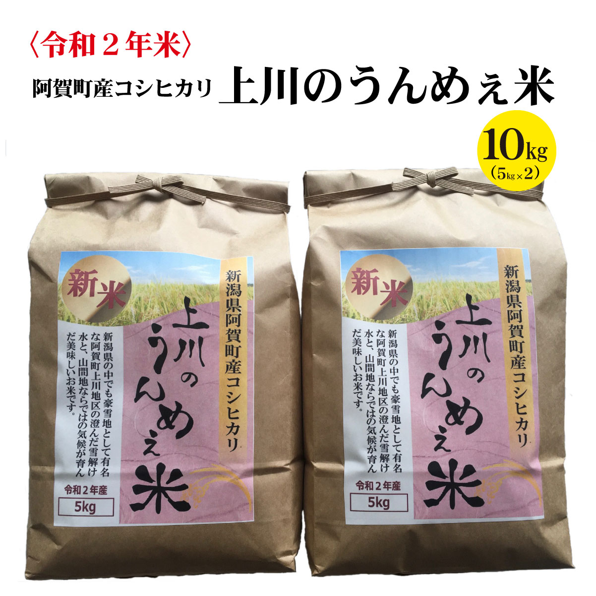 海外正規品 楽天市場 ふるさと納税 米 10kg 新潟 阿賀 令和2年 上川 うんめぇこめ コシヒカリ 新潟県阿賀町 お気にいる Blog Belasartes Br