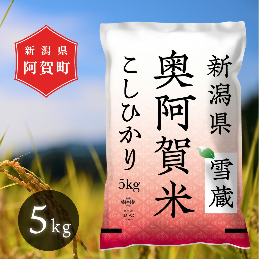 楽天市場】【ふるさと納税】 米 10kg 新潟県産 コシヒカリ 令和5年産