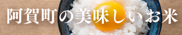 楽天市場】【ふるさと納税】 米 5kg 新潟県産 コシヒカリ 令和4年産 奥阿賀 | こしひかり ファーストクラス機内食採用産地 金賞受賞 白米 精米  送料無料 お取り寄せ お米 : 新潟県阿賀町