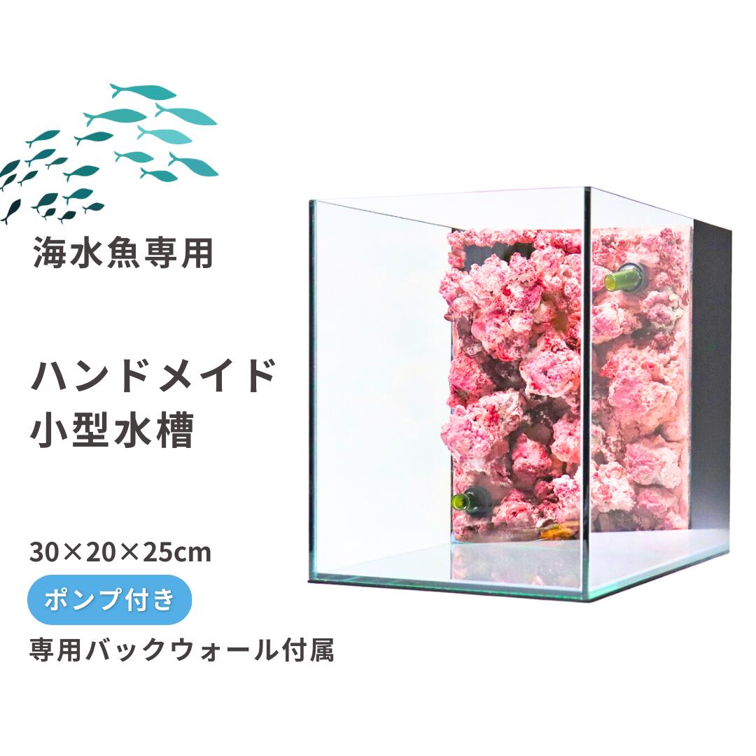 【ふるさと納税】お手てお手伝いさん小型海洋博物館【塩水魚専用】揚水機付き添い人（30×20×25珊） 新潟県 出雲崎町 サーチライフクラフト
