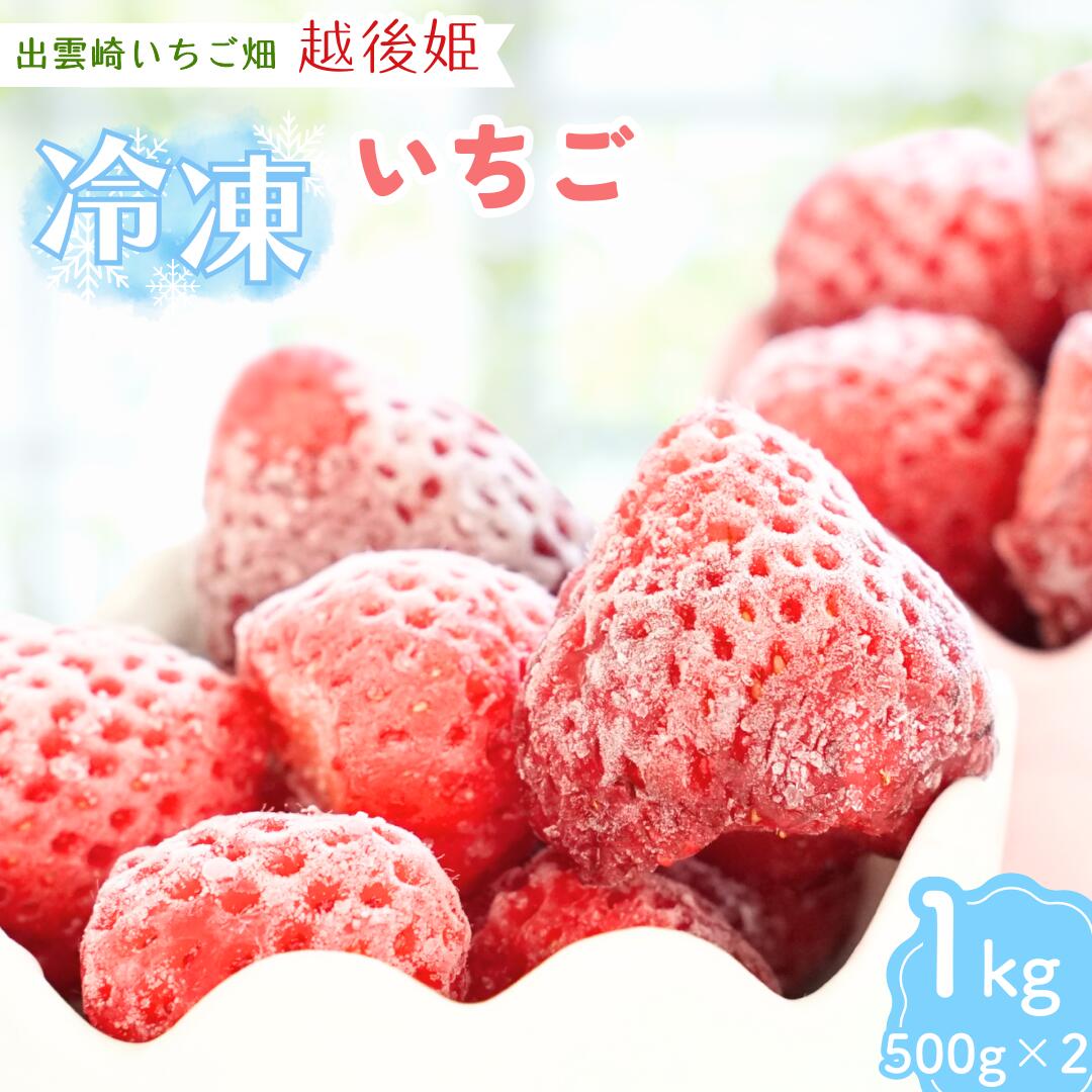 【ふるさと納税】【越後姫 いちご】冷凍いちご 1kg（500g×2袋） 国産 減農薬栽培  苺 イチゴ ブランドいちご 冷凍フルーツ フルーツ 果物 新潟県産 出雲崎町