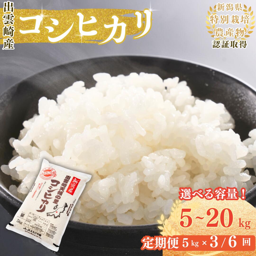 【ふるさと納税】【令和7年産】 米 コシヒカリ 特別栽培米 「天領の里」5kg／10kg／20kg／ 定期便 5kg（3・6か月） 新潟県産 白米 精米 お米 こしひかり 選べる容量 5キロ 10キロ 20キロ｜新潟県出雲崎町