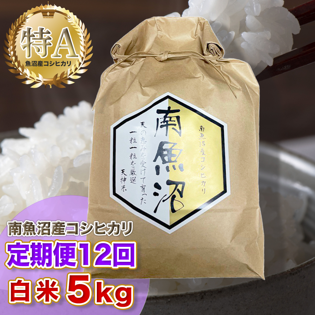 令和5年産 「越後湯沢産」精米(白米)10kg×12回【湯沢産コシヒカリ