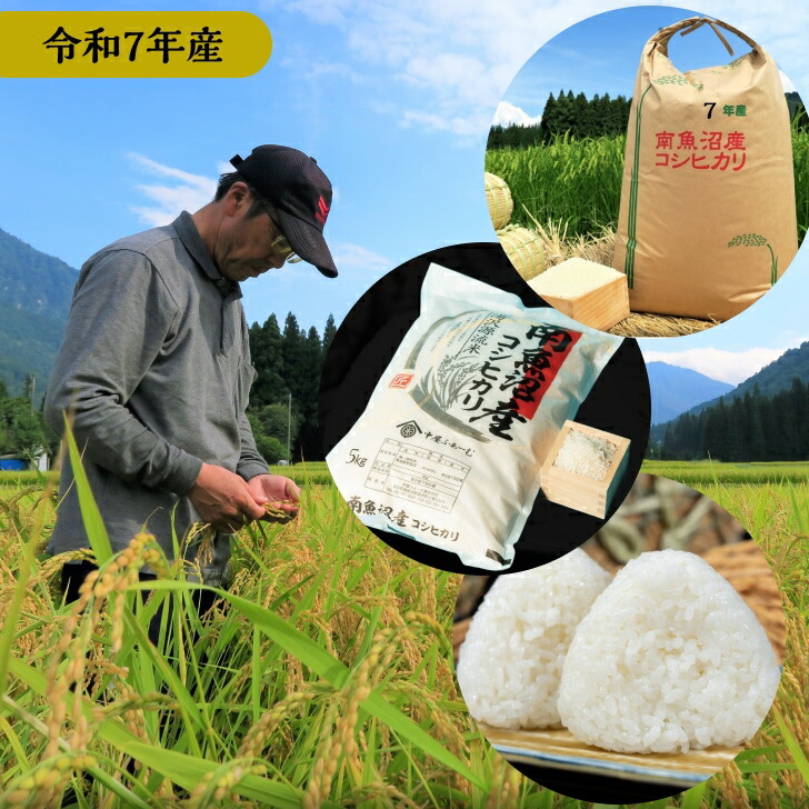 藤本さきこ エジプト香油 Diamond繁栄の女王