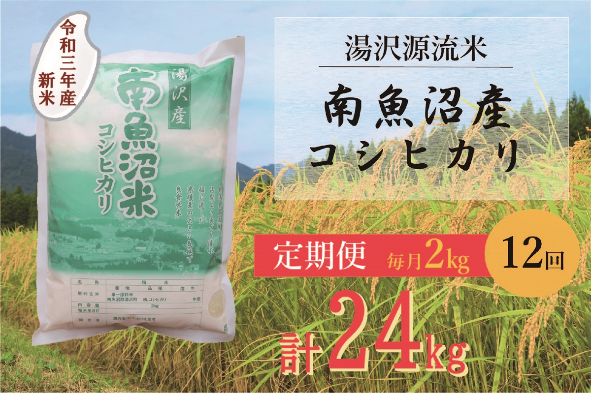 ふるさと納税 令和3年産 新米 源流一等米 精米 2kg 12回 定期便 湯沢産コシヒカリ Hostalbuenosaires Cat