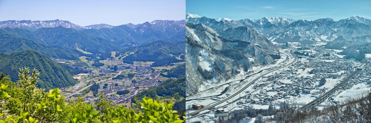 㸩ĮѸΩĮĮȰ餹Į