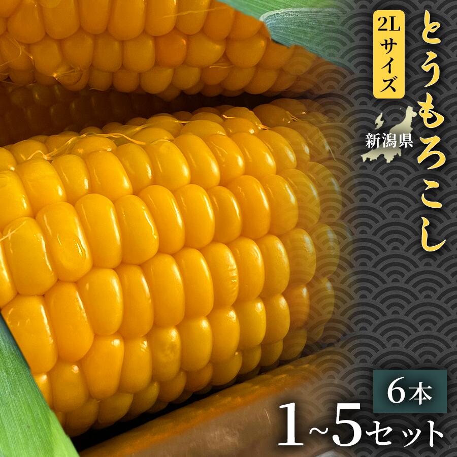 【ふるさと納税】【令和8年産先行予約】とうもろこし 6本 2Lサイズ 選べるセット数 | とうもろこし スイートコーン 野菜 やさい 自然の甘み 極甘スイートコーン フルーツとうもろこし 子どもが喜ぶ 旬の味覚 BBQ用 おすすめ お取り寄せ 産地直送 新潟県 津南町|新潟県津南町