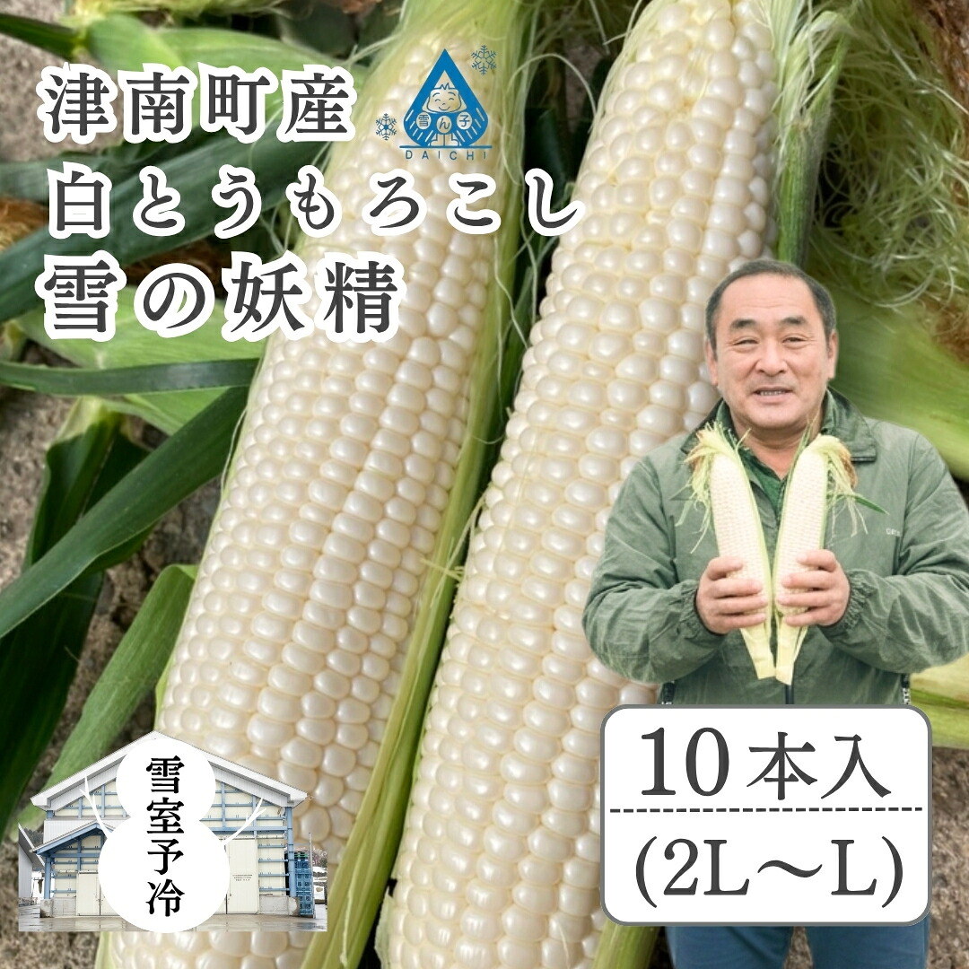 【ふるさと納税】雪室予冷 白とうもろこし 雪の妖精 2L～L 10本入 | とうもろこし スイートコーン トウモロコシ スィートコーン 採れたて 新鮮 旬 産地直送 津南町 有限会社大地