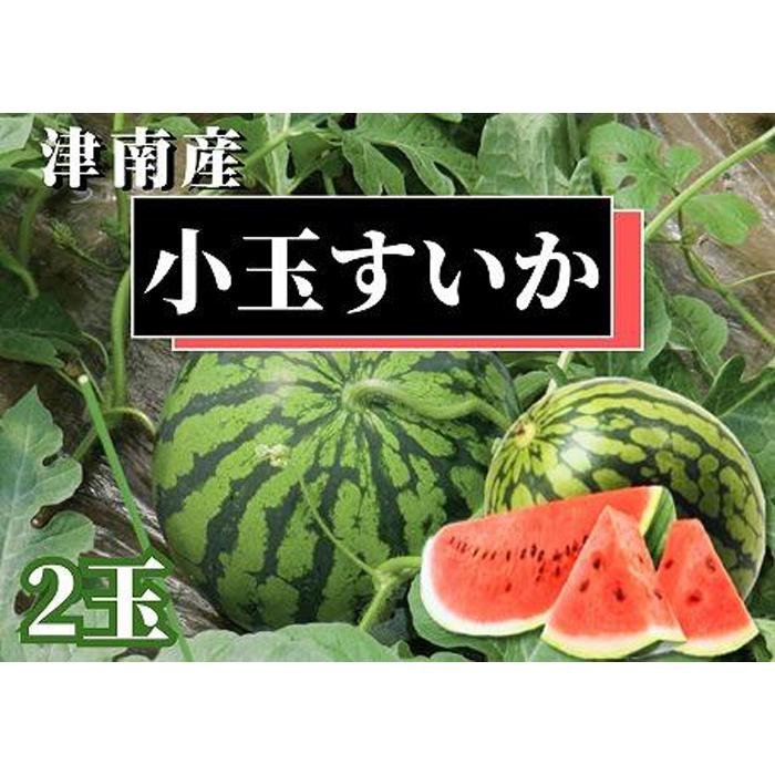 【ふるさと納税】【新潟県 魚沼 津南町産】小玉スイカ 2玉