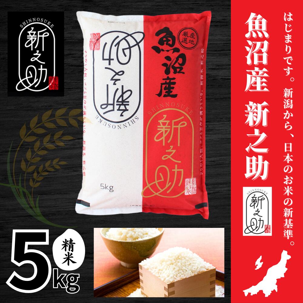 【ふるさと納税】 米 5kg 令和7年産 中魚沼産 新之助 選べる配送回数 | 魚沼産 しんのすけ お米 おこめ 米 こめ コメ 白米 精米 ご飯 ごはん ブランド米 おすすめ ギフト プレゼント 新潟県 津南町