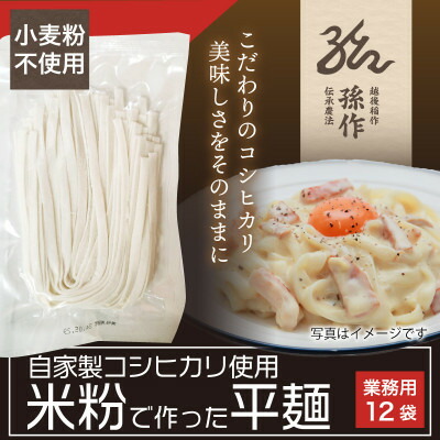 【ふるさと納税】米粉麺 平麺 グルテンフリー 128g×12食パック【1563082】