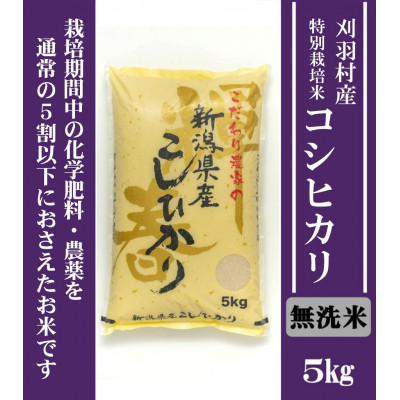 【ふるさと納税】【新潟特別栽培米】【無洗米】刈羽村産コシヒカリ 5kg【1576358】|新潟県刈羽村