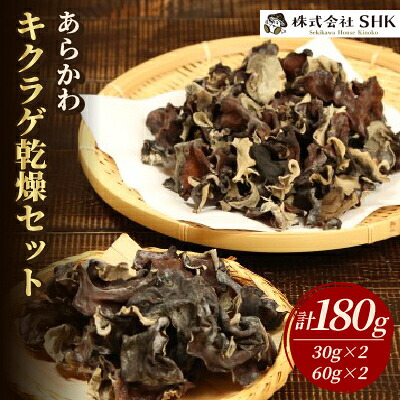 【ふるさと納税】あらかわキクラゲ乾燥セット(乾燥キクラゲ30g&times;2パック・60g&times;2パック) [贈呈用]【1442533】｜新潟県関川村