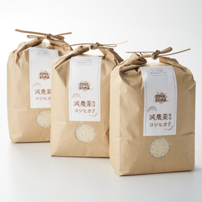 【ふるさと納税】R7年産 濃厚な甘み! 岩船産コシヒカリ 精米6kg(2kg&times;3袋)[農家民宿おくやま]_ 米 精米 コシヒカリ 岩船 甘み 農家民宿おくやま 人気 美味しい【1584913】｜新潟県関川村 14,200円