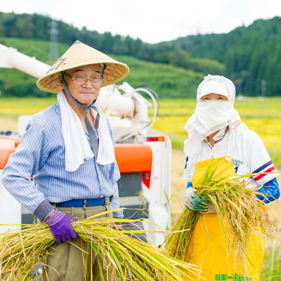 【ふるさと納税】[先行予約] R8年産 岩船産こしひかり 精米5kg ふっくら美味しい [横山農産]【1737353】｜新潟県関川村