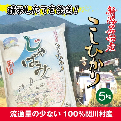 【ふるさと納税】【先行予約】R8年産 関川村産コシヒカリ精米5kg(5kg&times;1)丁寧に育てた贅沢米 [山口ファーム]【1753533】｜新潟県関川村